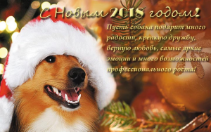 С Новым 2018 Годом!